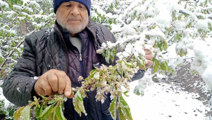 Nisan Ayında Beklenmedik Kar Yağışı
