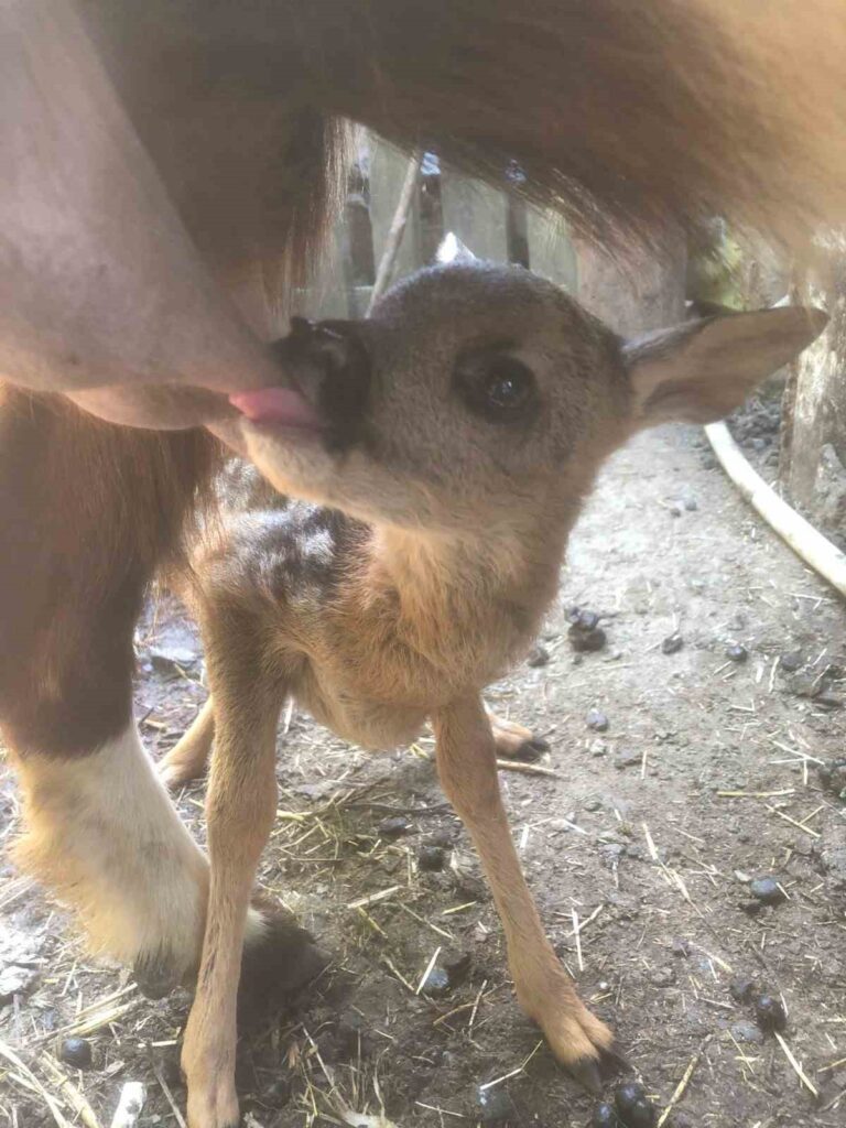  Doğa Koruma ve Milli Parklar