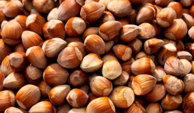 Fındıkta Rekor Üstüne Rekor: Giresun’da Serbest Piyasada 215 TL’ye Ulaştı