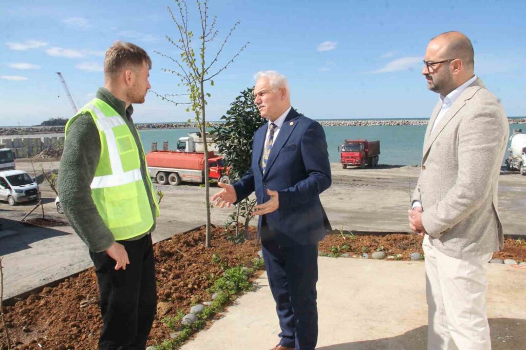 Giresun balıkçı barınağı1