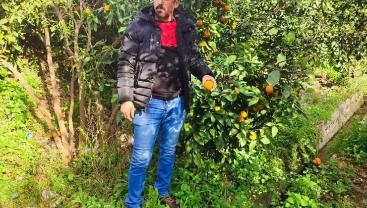 Uşak’ta Kazada Hayatını Kaybeden Sürücünün Otopsisinde Şok Bulgu