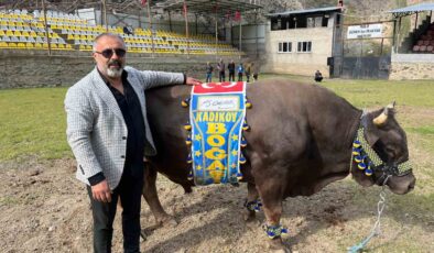 Artvinli Fenerbahçeli, Şampiyonluğu “Kadıköy Boğası” ile Kutlamak İçin İstanbul’a Geliyor