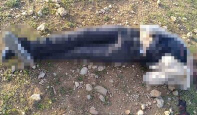 Mardin’de Şüpheli Ölüm