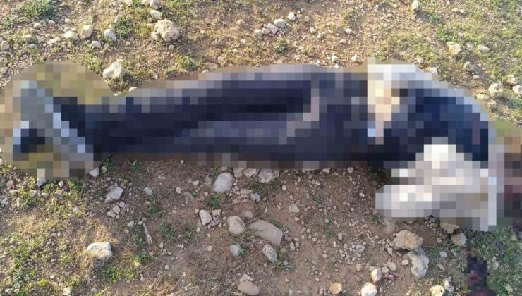 Mardin’de Şüpheli Ölüm