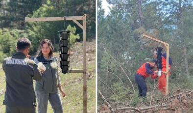 Mudurnu’da ormanlar için feromon tuzaklı böcek mücadelesi