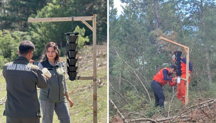 Mudurnu’da ormanlar için feromon tuzaklı böcek mücadelesi