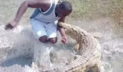 Timsahın Kuyruğuna Dokunmak Faciayla Sonuçlandı