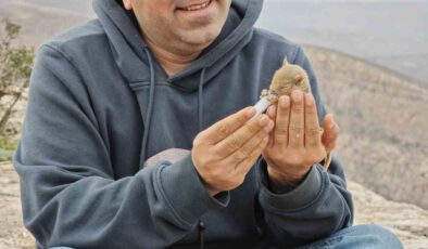 Siirt’te Doğada Bulunan Yavru Sincap Şırıngayla Beslenerek Hayata Tutundu