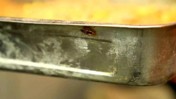 Adana’da Hijyen Kurallarına Uymayan Tatlıcıya 105 Bin TL Ceza