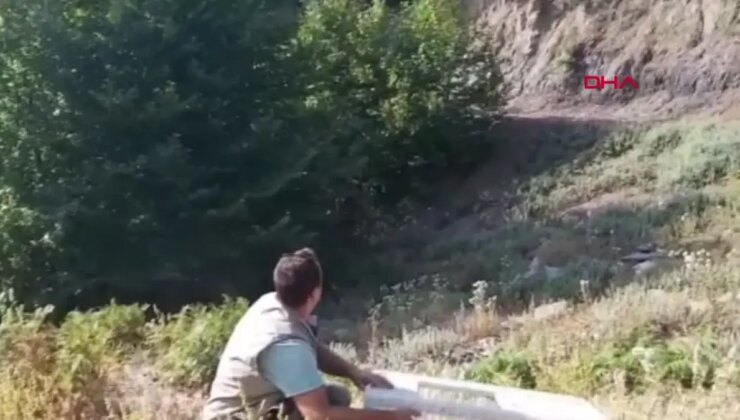 Amanos Dağları’na 600 Kınalı Keklik Salındı