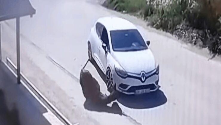 Otomobil Eşeğe Kasıtlı Çarptı