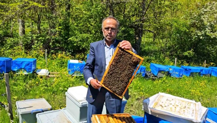 Artvin’de Arıcılık Don Dalgasından Etkilendi