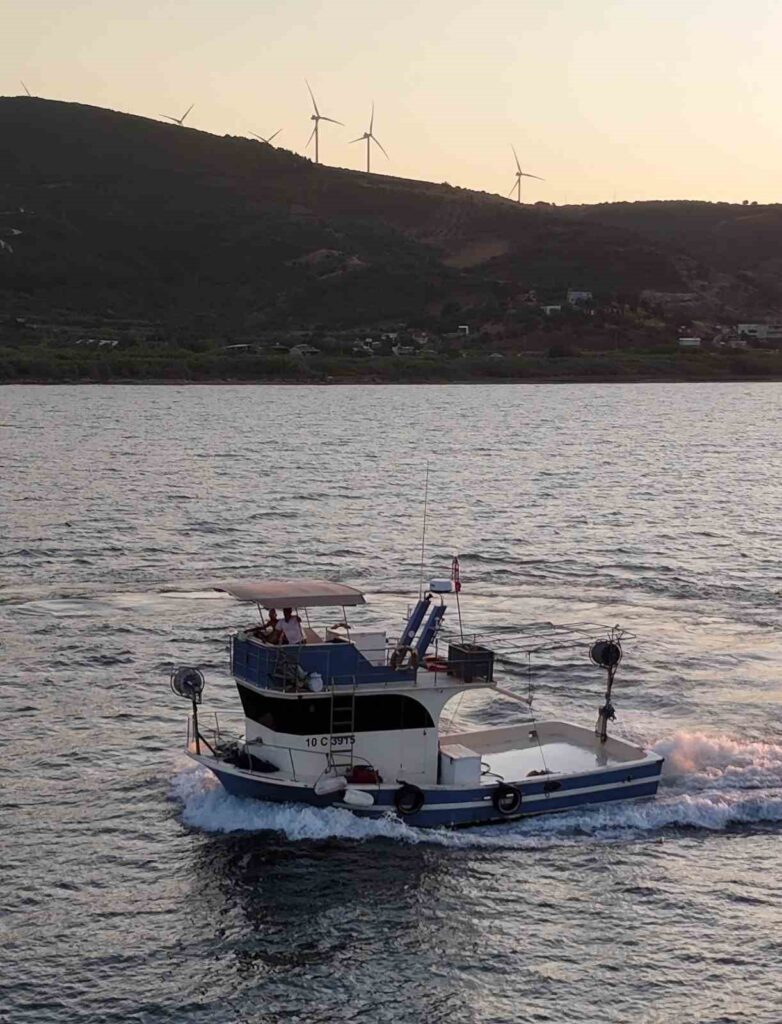 av yasağı Bandırma