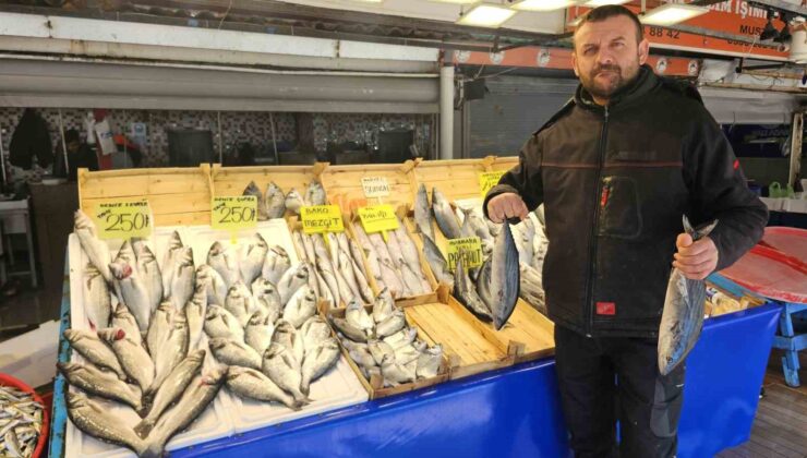 Balıkçılar İçin Av Sezonu Sona Erdi