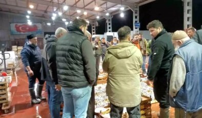 Av Yasağı Başladı, Küçük Tekneler Çalışıyor