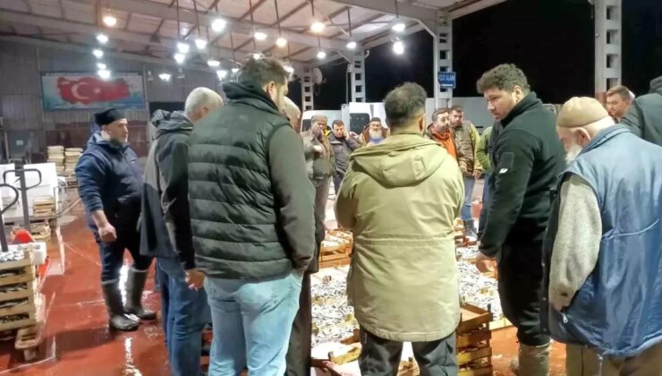 Av Yasağı Başladı, Küçük Tekneler Çalışıyor