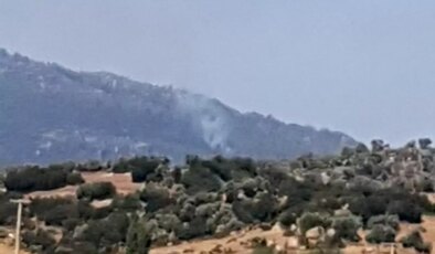 Aydın Çine’de Orman Yangını: Havadan ve Karadan Müdahale Ediliyor