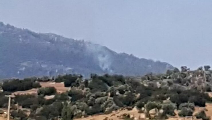 Aydın Çine’de Orman Yangını: Havadan ve Karadan Müdahale Ediliyor