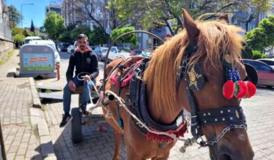 Aydın’da At Arabacılığı Giderken