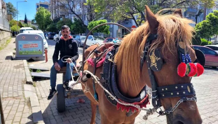 Aydın’da At Arabacılığı Giderken