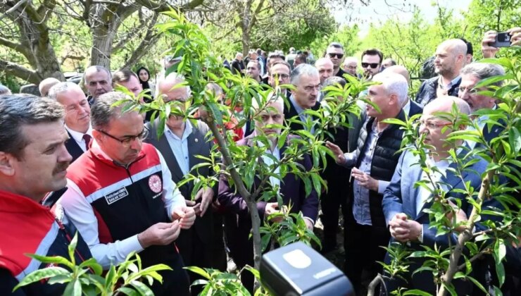 Bakan Yardımcısı Gümen: “Bazı yerlerde yüzde 10, bazı yerlerde ise yüzde 100 hasar oranı var”