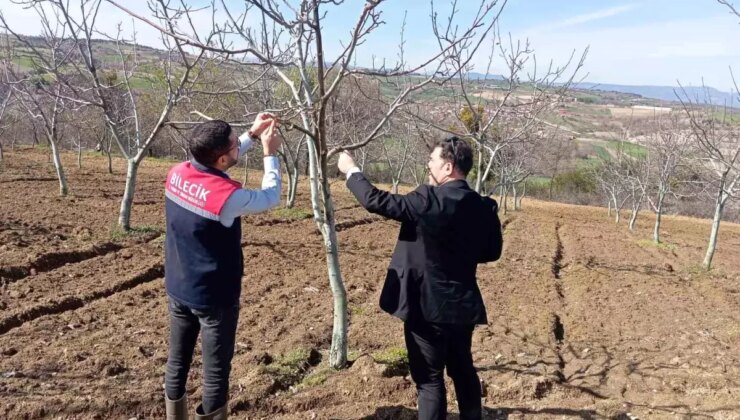 Bilecik’te Don Olayı Sonrası Hasar Tespiti