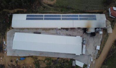 Bilecik’te Tavuk Çiftliği Gelişimi