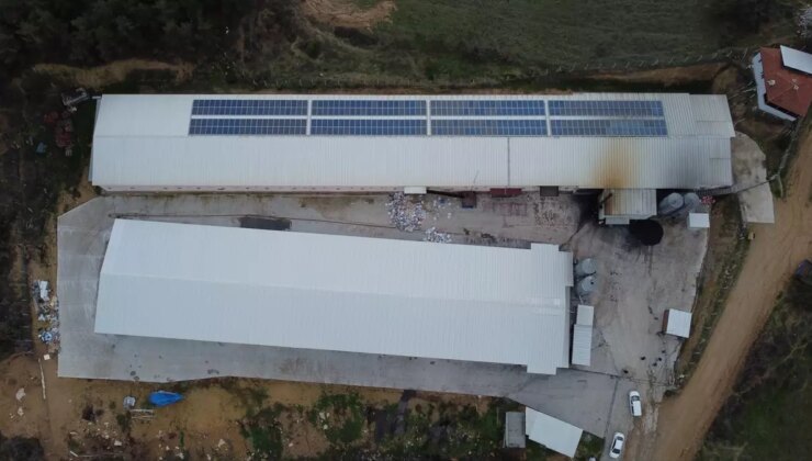 Bilecik’te Tavuk Çiftliği Gelişimi