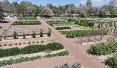 Bitkilerle Çiftçilere Örnek Olacaklar