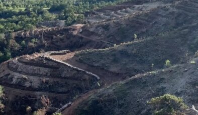 Bolu’da Orman Yangınları Sonrası Ağaçlandırma