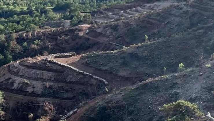 Bolu’da Orman Yangınları Sonrası Ağaçlandırma