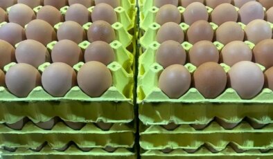 Bursa’da Yumurtada Fiyat Farkı