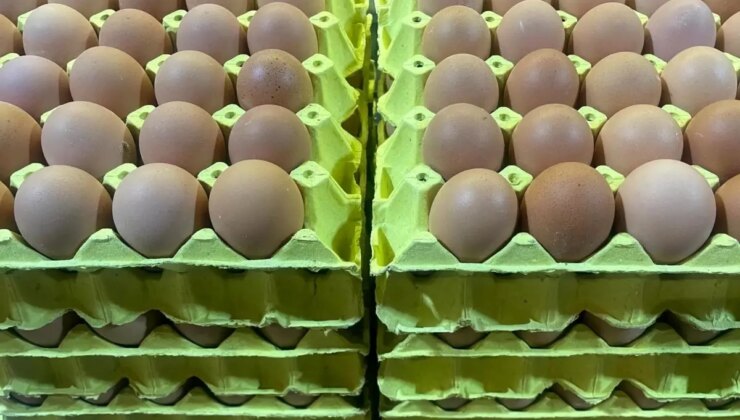 Bursa’da Yumurtada Fiyat Farkı