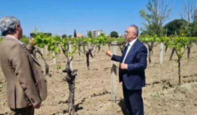 Büyükşehir’den don zararına uğrayan üreticilere destek