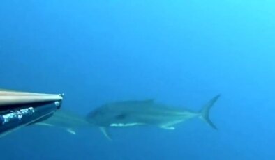 Çanakkale’de Rekortmen Dalgıç Akya Avladı