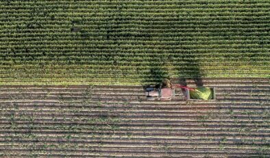 Çiftçilere 5,5 milyar lira destek ödemesi yapıldı