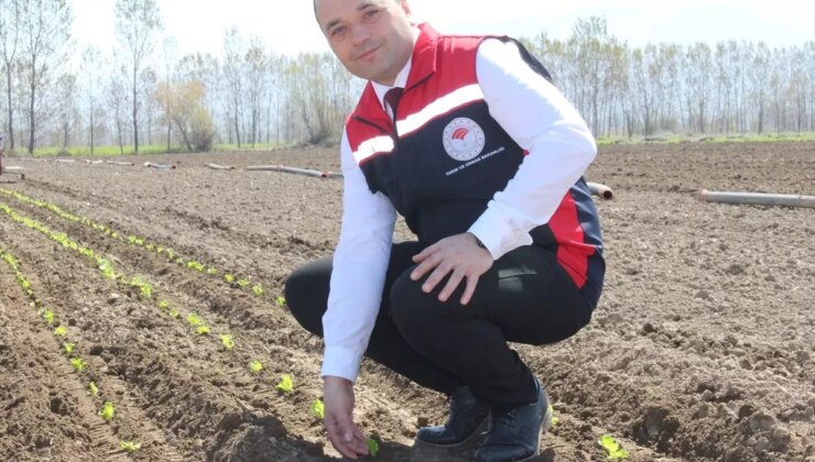 Çiftçilere Destek Ziyareti