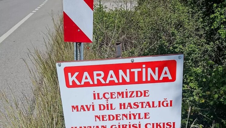 Datça’da ‘mavi dil hastalığı’ karantinası