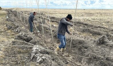 Doğaseverler, şehit ve gaziler anısına Tuz Gölü’nde 5 bin fidan dikti
