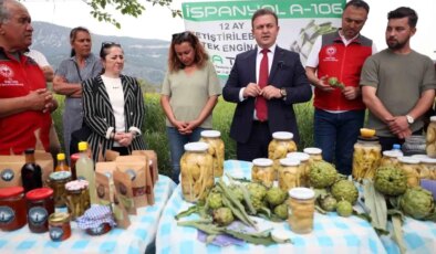 Enginar Hasadı İçin Tarla Günü Etkinliği