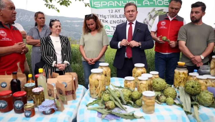 Enginar Hasadı İçin Tarla Günü Etkinliği