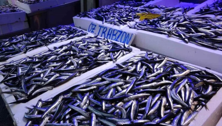 Hamsi İhracatından 9.1 Milyon Dolar Gelir