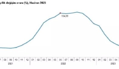 Haziran Ayında Tarımsal Girdi Fiyatları Yüzde 27,70 Arttı