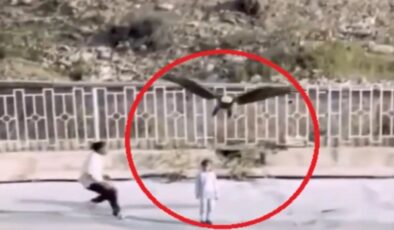 İran’da kartalın çocuğu kaçırmaya çalıştığı anlar