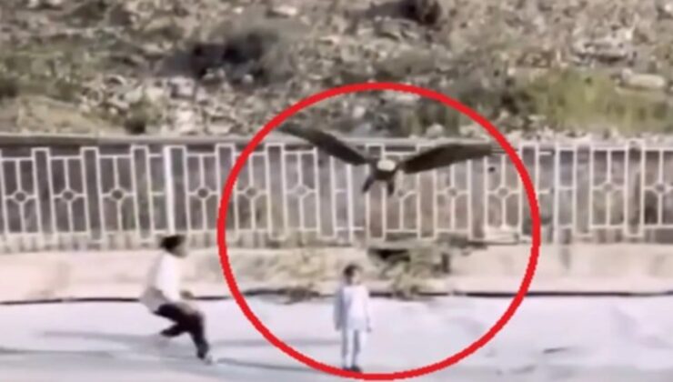 İran’da kartalın çocuğu kaçırmaya çalıştığı anlar