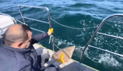 Serili Ağa El Konuldu, Balıklar Kurtarıldı