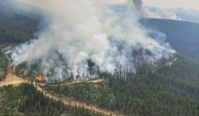 Kanada’da çıkan orman yangınlarında 50 ev yıkıldı
