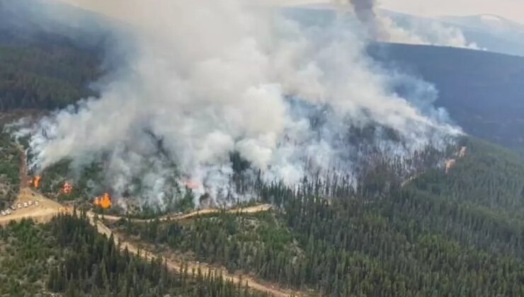 Kanada’da çıkan orman yangınlarında 50 ev yıkıldı