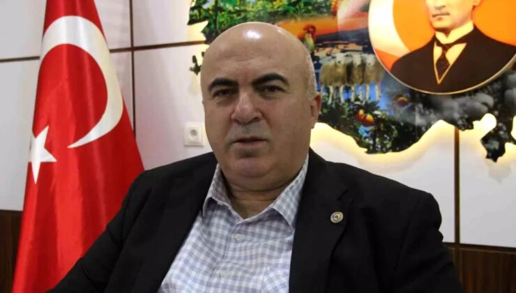 Karaman Ziraat Odası, yaban domuzlarına karşı sürek avlarının yapılmasını istiyor