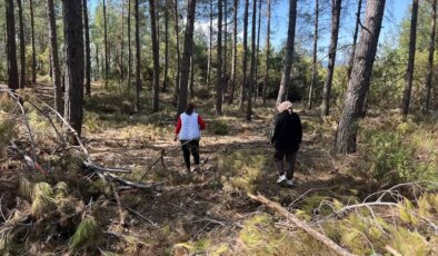 Kaş’ta Yabani Kuşkonmaz Satışı